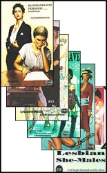 English novelette cover